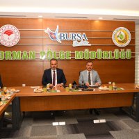 Bursa menşeili ağaçlar küllerinden doğacak  