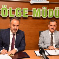 Bursa menşeili ağaçlar küllerinden doğacak  