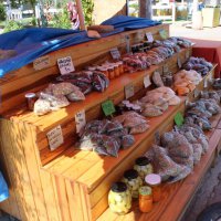 Büyükşehir’den ‘Cittaslow’ atağı  