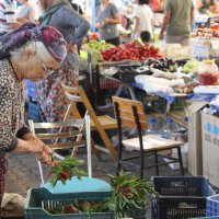 Büyükşehir’den ‘Cittaslow’ atağı  
