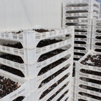 Büyükşehir’den ‘Cittaslow’ atağı  