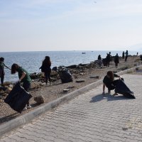 Dersimiz, sahil temizliği 