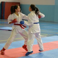 Tatamide başarı sürüyor 