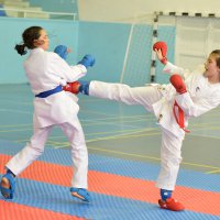 Tatamide başarı sürüyor 