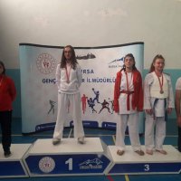 Tatamide başarı sürüyor 