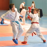 Tatamide başarı sürüyor 