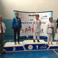 Tatamide başarı sürüyor 