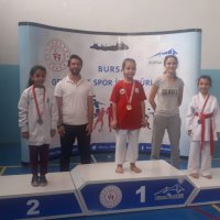 Tatamide başarı sürüyor 