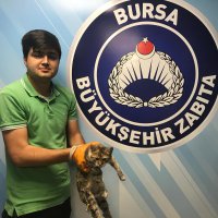 Yaralı kediye Büyükşehir şefkati 