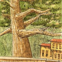 Kent Ressamı Boyacı’dan yeni sergi 