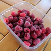 Ahududu fidanları Büyükşehir’den  