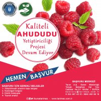 Ahududu fidanları Büyükşehir’den  