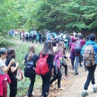 Adım adım doğayı keşfettiler 