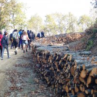 Adım adım doğayı keşfettiler 