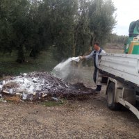 Sinekle mücadeleye devam 