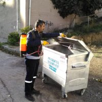 Sinekle mücadeleye devam 