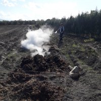 Sinekle mücadeleye devam 