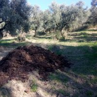 Sinekle mücadeleye devam 