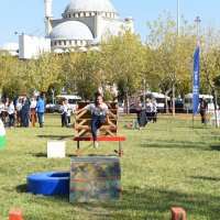 En maceracı takımlar belirlendi 