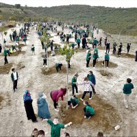 Büyükşehir’den fidan dikim seferberliği 