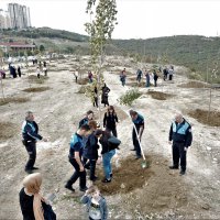 Büyükşehir’den fidan dikim seferberliği 