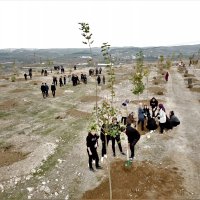 Büyükşehir’den fidan dikim seferberliği 