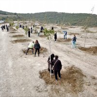 Büyükşehir’den fidan dikim seferberliği 