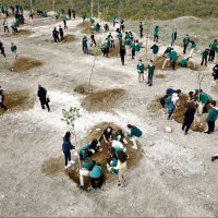 Büyükşehir’den fidan dikim seferberliği 