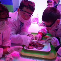 BTM’de ara tatile özel atölyeler 