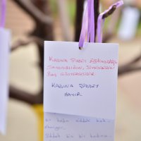 Bursa kadına şiddeti reddediyor 