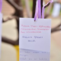 Bursa kadına şiddeti reddediyor 