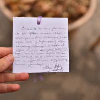 Bursa kadına şiddeti reddediyor 