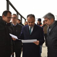 Timsah kafaya kavuşuyor 