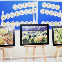 Öğrenciler fotoğraflarla buluşuyor 