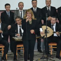 İlçelerde müzikal buluşma başladı 