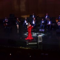 Şarkılar sanat güneşi için seslendirildi 