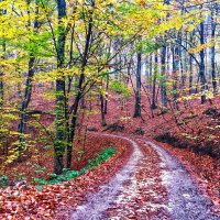 Adımlar Suuçtu Şelalesi’ne atıldı 