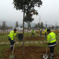 İklim için biz de varız 