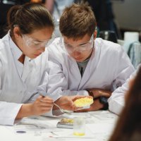 BTM 2019 yılını rekorlarla kapattı 