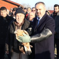 Yaralı şahin özgürlüğüne uçtu 