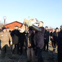 Yaralı şahin özgürlüğüne uçtu 