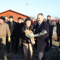 Yaralı şahin özgürlüğüne uçtu 