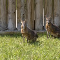 İlk karne hediyesi Büyükşehir’den 