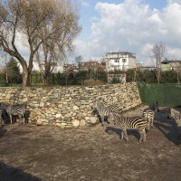 İlk karne hediyesi Büyükşehir’den 