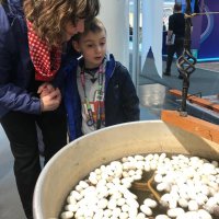 Bursa ipeğine Almanya’da büyük ilgi 