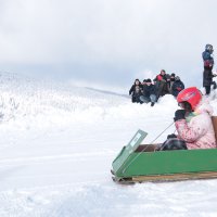 Karton Kızak Yarışması’nda ödüller sahiplerini buldu  