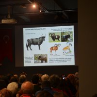 Dünyayı şaşırtan keşif Göbeklitepe 