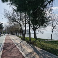 İznik sahilleri yaza hazır  