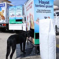 Can dostlarımız sahipsiz değil  