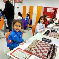 Büyükşehirli satranççılardan 3 şampiyonluk 